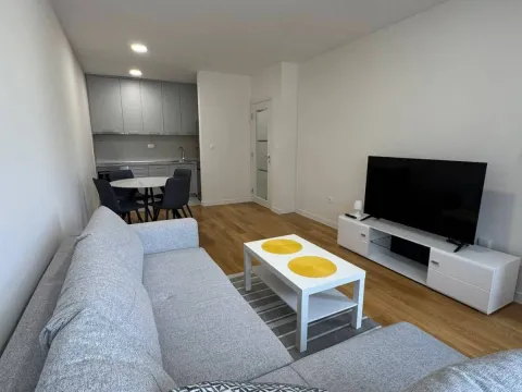 Rent, one bedroom apartment, 49m², Central Point, Podgorica - image 2
