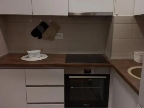 Izdavanje, dvosoban stan, 50m², Jugovićevo, Novi Sad Sve Podlokacije - image 9