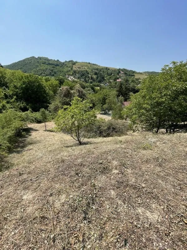 Prodaja, plac, 1500m², Rakovac, Novi Sad Sve Podlokacije