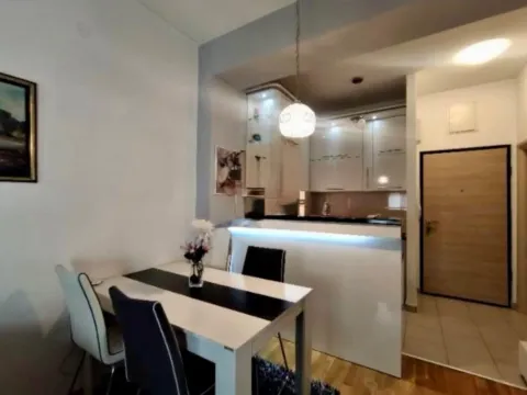 Izdavanje, jednosoban stan, 42m², Ljubović, Podgorica - image 6