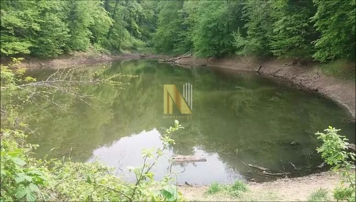 Sale, land lot, 7647m², Ledinci, Petrovaradin