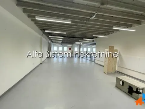 Izdavanje, poslovni prostor, 2000m², Voždovac Sve Podlokacije, Beograd - image 15