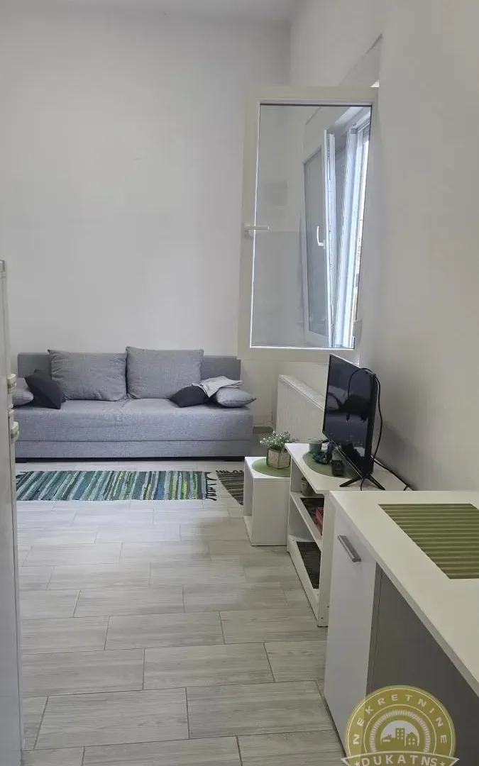 Izdavanje, garsonjera, 22m², Detelinara, Novi Sad Sve Podlokacije
