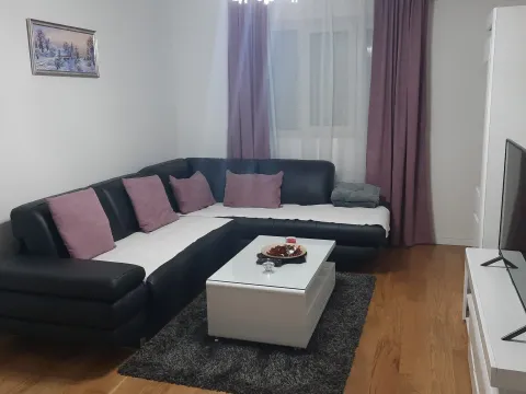 Izdavanje, jednosoban stan, 49m², Central Point, Podgorica - image 2