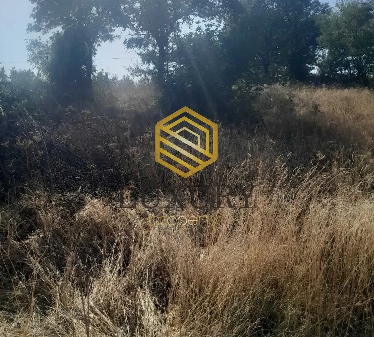 Prodaja, plac, 6348m², Ostalo, Podgorica