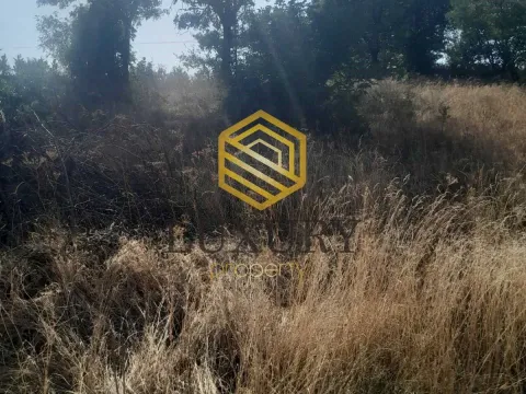 Prodaja, plac, 6348m², Ostalo, Podgorica - image 9