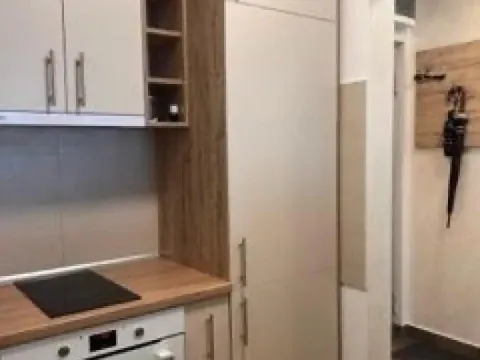 Izdavanje, jednosoban stan, 45m², Zemun Sve Podlokacije, Beograd - image 5