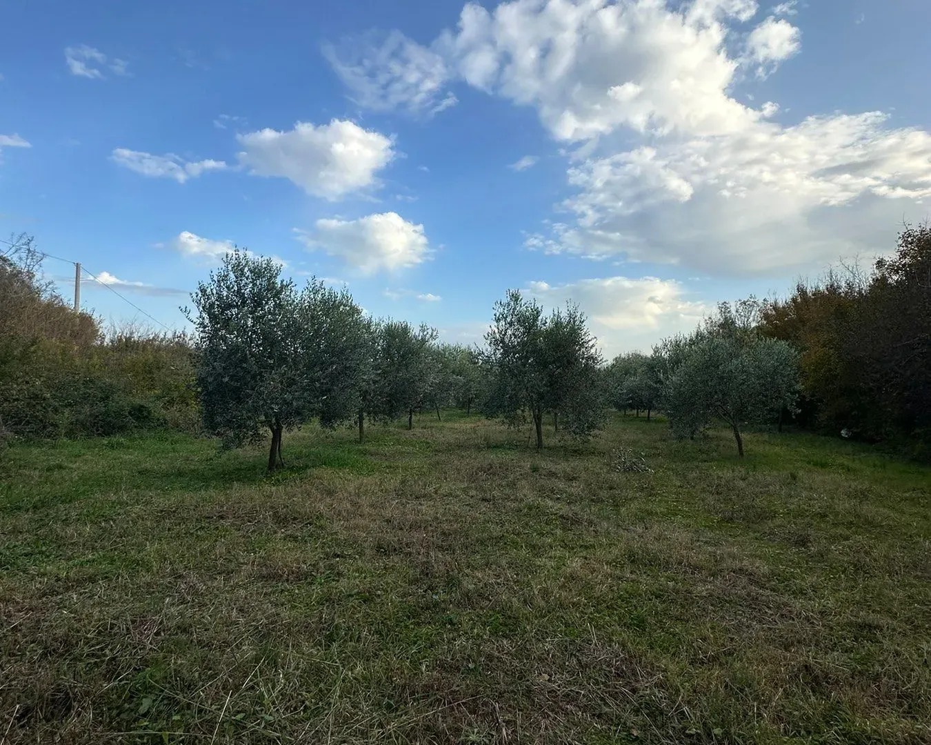 Prodaja, plac, 6000m², Ulcinj, Crna Gora