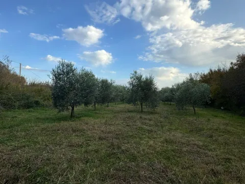 Prodaja, plac, 6000m², Ulcinj, Crna Gora - image 4