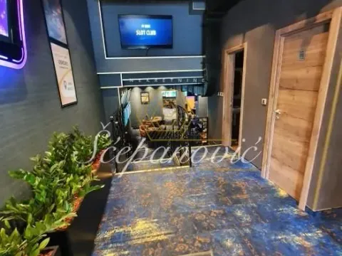 Izdavanje, poslovni prostor, 239m², Bulevar Oslobodjenja, Novi Sad Sve Podlokacije - image 2