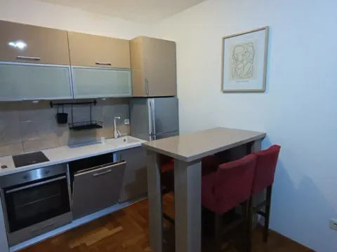 Izdavanje, jednosoban stan, 40m², Zabjelo, Podgorica - image 2