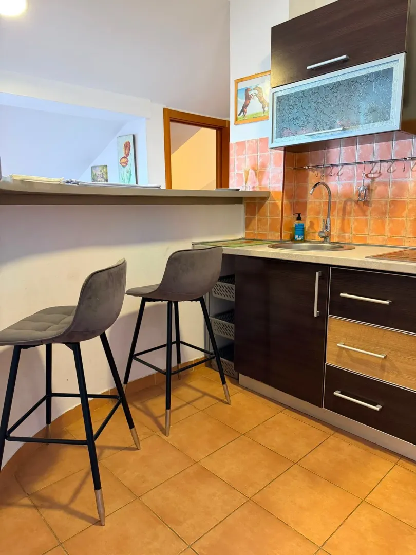 Rent, two bedroom apartment, 60m², Gospoština, Budva