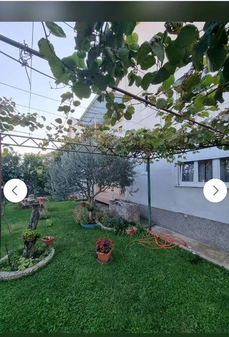 Uređeno dvorište sa zelenom travom, ukrasnim biljkama i lozom ispred kuće.