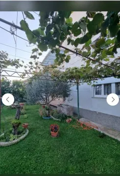 Uređeno dvorište sa zelenom travom, ukrasnim biljkama i lozom ispred kuće. - image 13