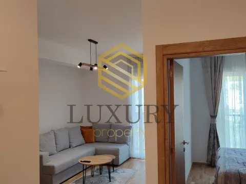 Rent, one bedroom apartment, 36m², Stari Aerodrom, Podgorica - image 3