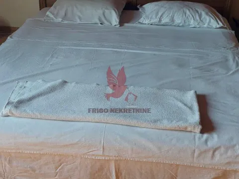 Prodaja, kuća, 1000m², Selters Banja, Mladenovac - image 3