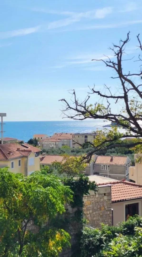 Sale, house, 67m², Petrovac, Budva