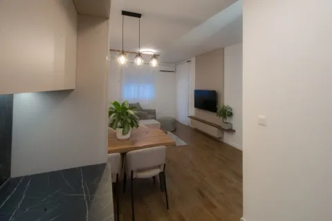 Rent, one bedroom apartment, 59m², Central Point, Podgorica - image 1381