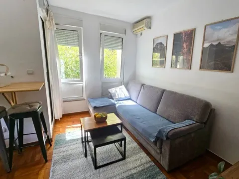 Izdavanje, jednosoban stan, 38m², Pod Goricom, Podgorica - image 10