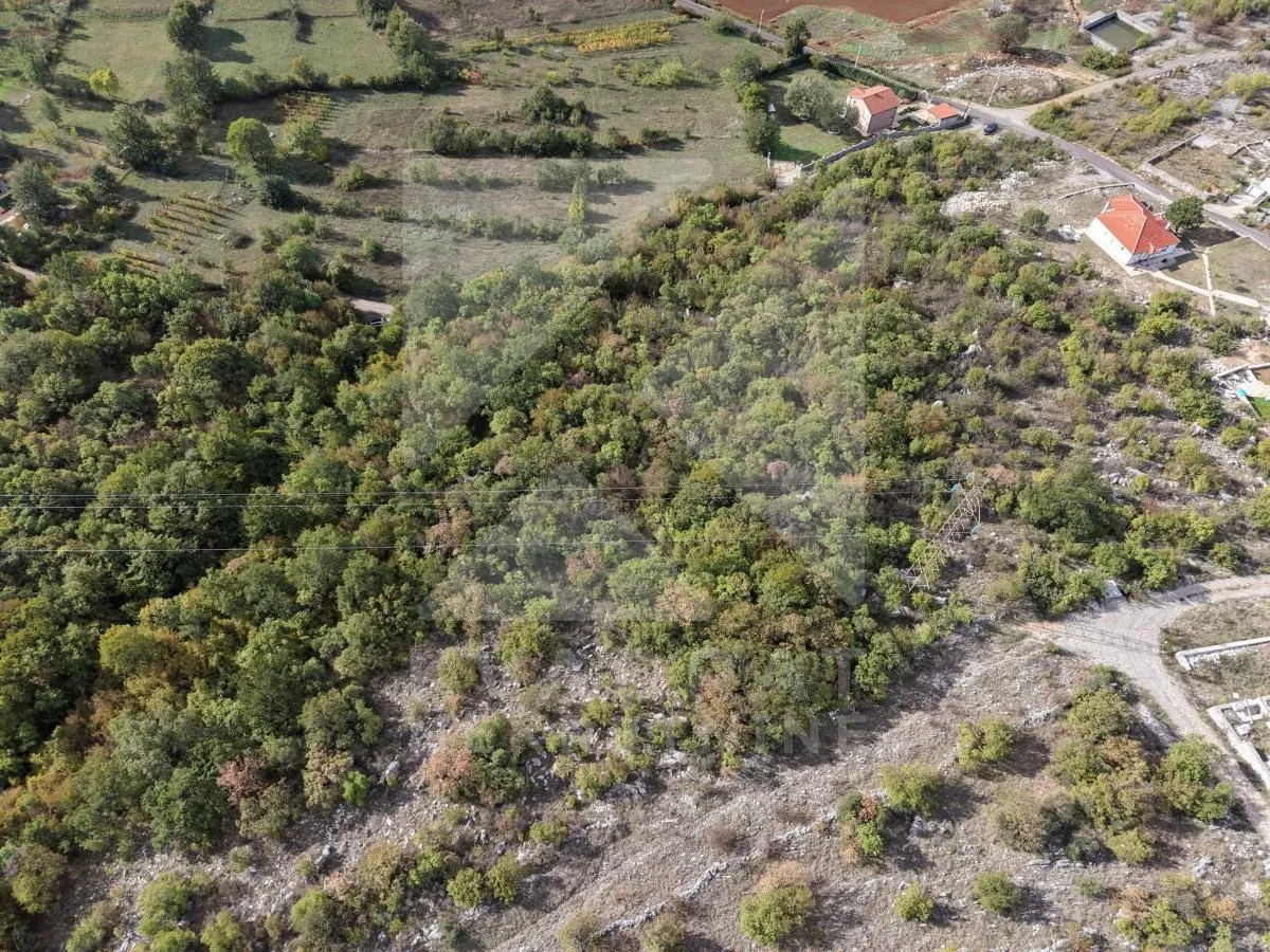 Prodaja, plac, 11798m², Pričelje, Podgorica