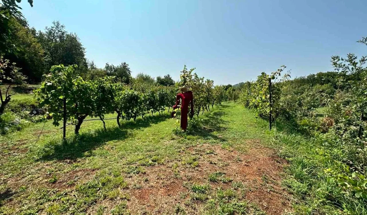 Prodaja, kuća, 120m², Cetinje, Crna Gora