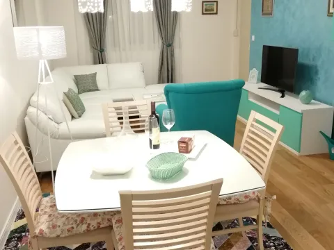 Rent, one bedroom apartment, 49m², Central Point, Podgorica - image 18