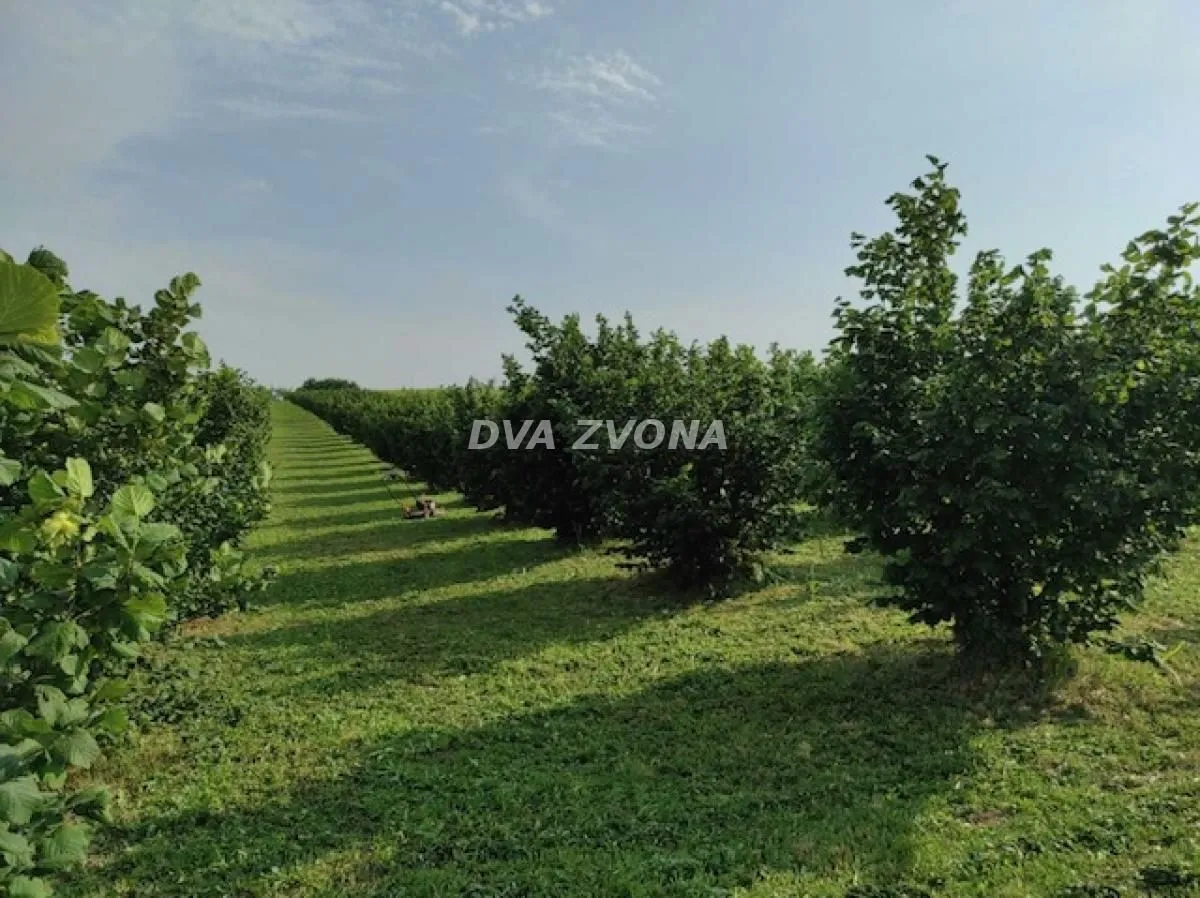 Prodaja, plac, 6800m², Stari Slankamen, Inđija