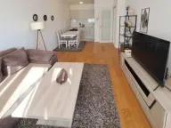 Izdavanje, jednosoban stan, 49m², Central Point, Podgorica - image 7