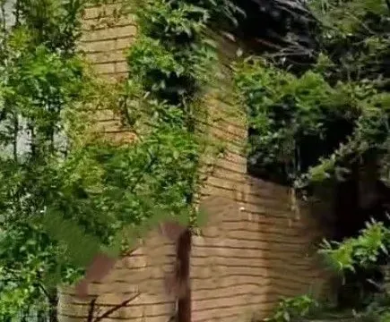 Izdavanje, plac, 2401m², Podgorica, Crna Gora - image 15