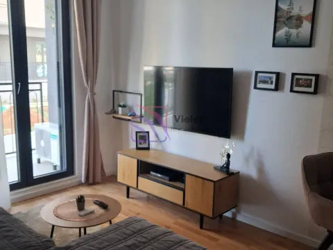 Rent, one bedroom apartment, 44m², Tološi, Podgorica - image 2
