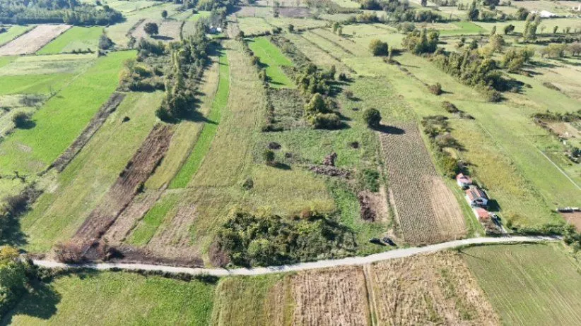 Prodaja, plac, 5500m², Zeta, Podgorica