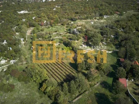 Sale, land lot, 33727m², Ostalo, Podgorica - image 10