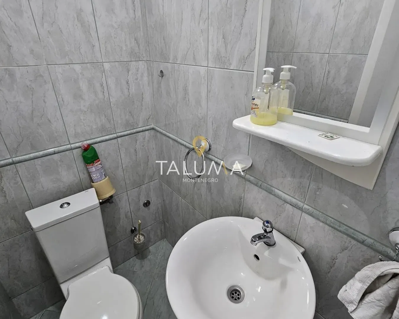 Rent, house, 250m², Zagorič, Podgorica
