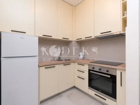 Izdavanje, jednosoban stan, 39m², Central Point, Podgorica - image 17