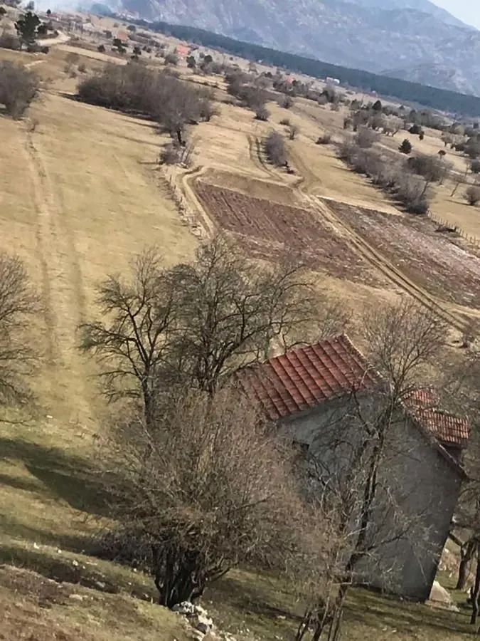Prodaja, plac, 21800m², Grahovo, Nikšić