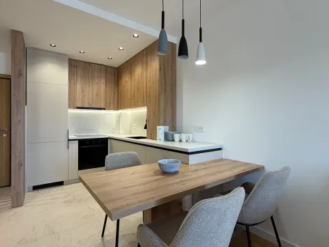 Izdavanje, jednosoban stan, 46m², Tološka šuma, Podgorica - image 3