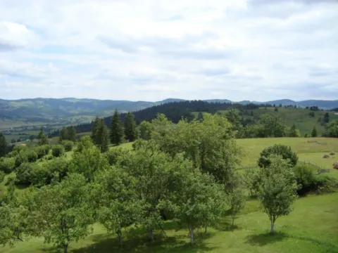 Sale, land lot, 105000m², Mijakovići, Pljevlja - image 2