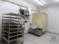 Rent, office space, 1500m², Donje Vidovo, Paraćin - image 21