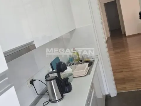 Izdavanje, četvorosoban stan, 157m², Senjak, Beograd - image 2