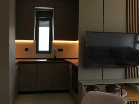 Izdavanje, jednosoban stan, 47m², Dalmatinska ulica, Podgorica - image 3