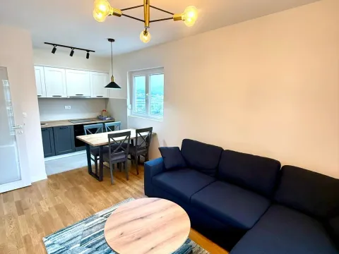 Rent, one bedroom apartment, 45m², Zabjelo, Podgorica - image 3