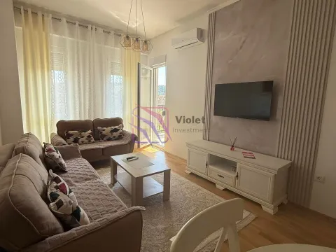 Izdavanje, jednosoban stan, 47m², Zagorič, Podgorica - image 10