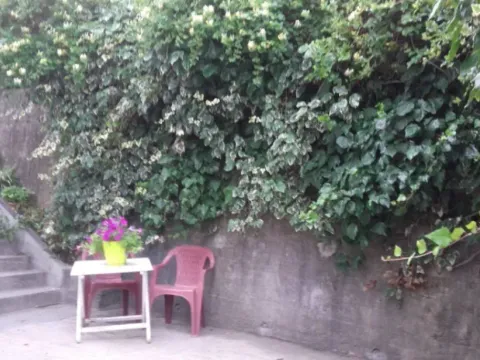 Stan-na-dan, jednosoban stan, 20m², Đenovići, Herceg Novi - image 7