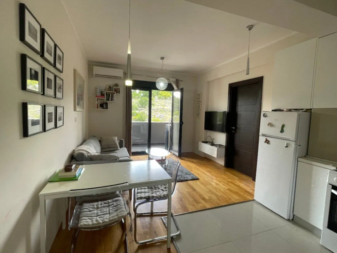 Rent, one bedroom apartment, 45m², Vezirov Most, Podgorica