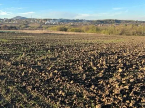 Prodaja, plac, 8900m², Vrčin, Grocka - image 4