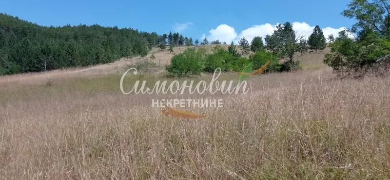 Prodaja, plac, 212100m², Divčibare, Valjevo
