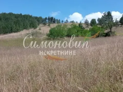 Sale, land lot, 212100m², Divčibare, Valjevo - image 6