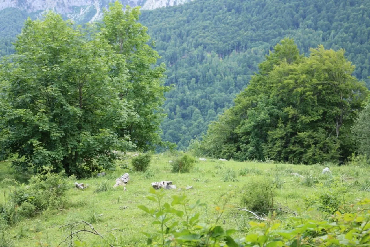 Prodaja, plac, 45000m², Gornje Lipovo, Kolašin