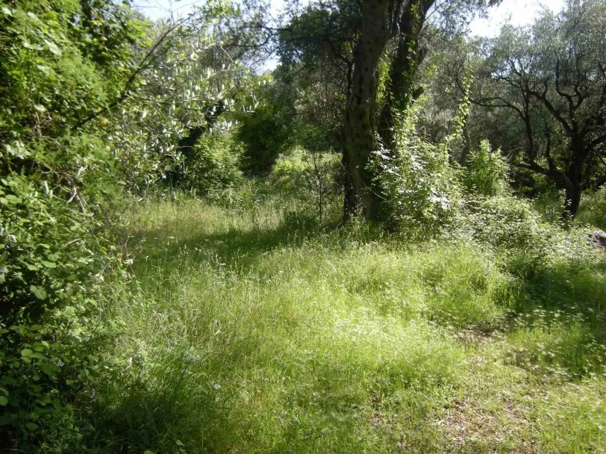 Prodaja, plac, 500m², Budva, Crna Gora