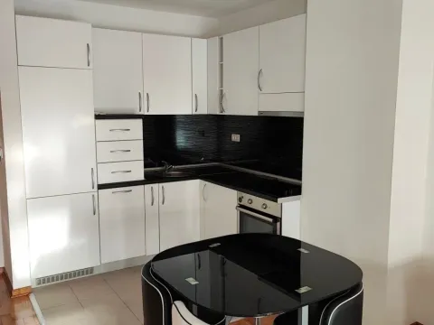 Rent, one bedroom apartment, 47m², Tološka šuma, Podgorica - image 2